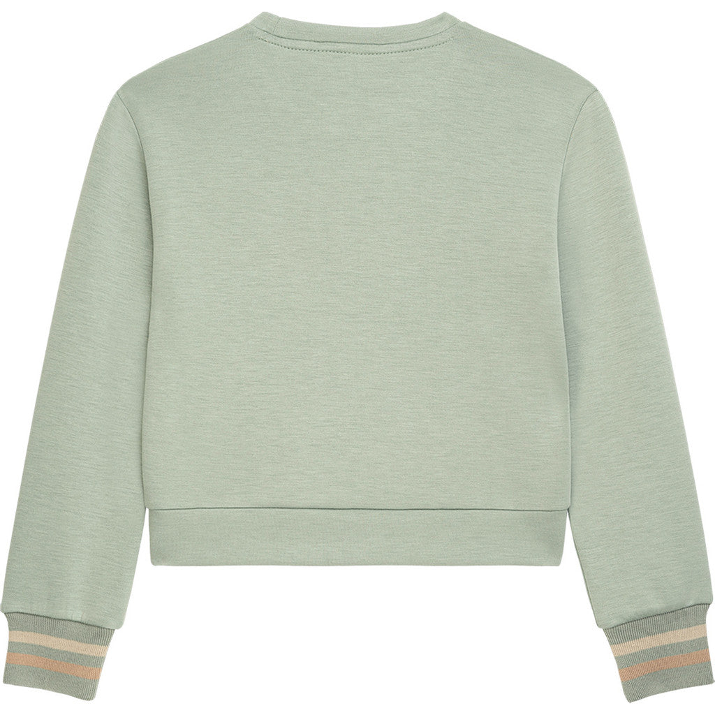 DANAMADE Sweatshirt DBONNY Shirts&Tops Salbei